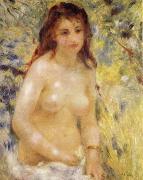 The female nude under the sun renoir